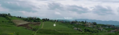 feelgrid-vineyards feelgrid-vineyards